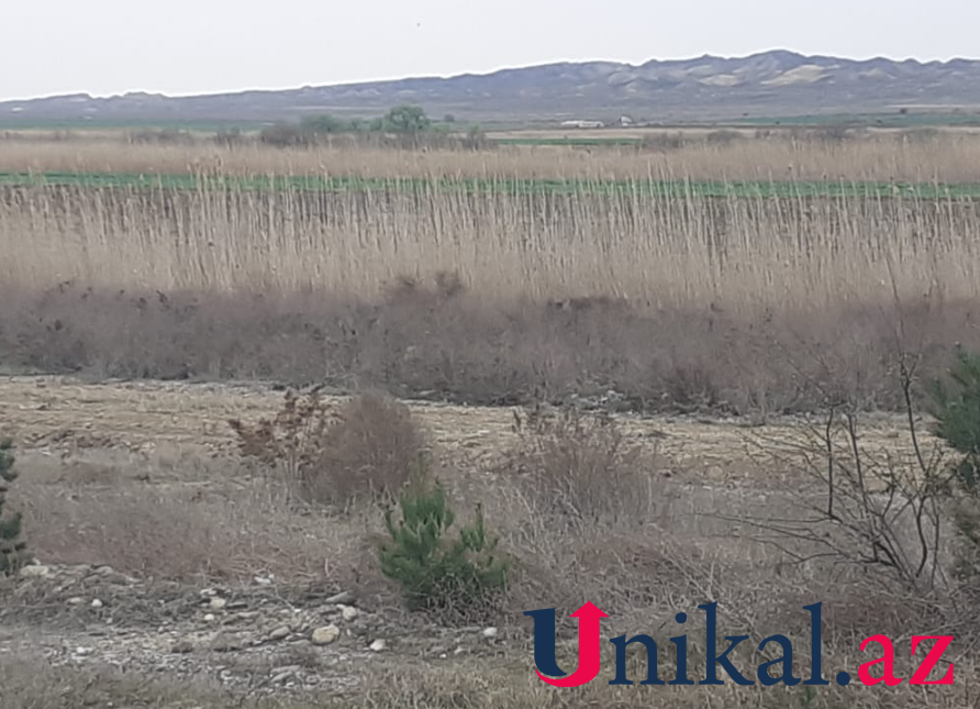 Goranboyda qəza - Maşın kanala aşdı (FOTO)